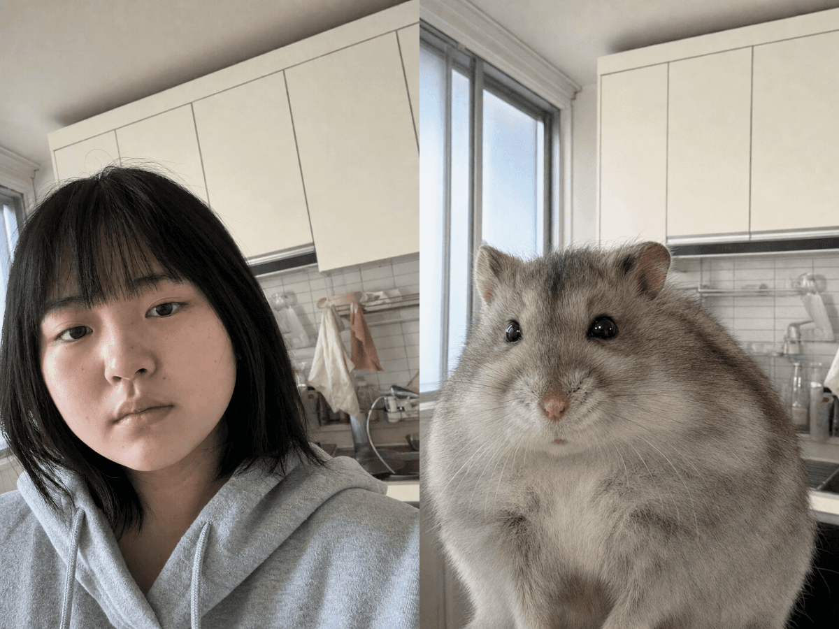 나와 닮은 동물 입력 사진과 결과 예시