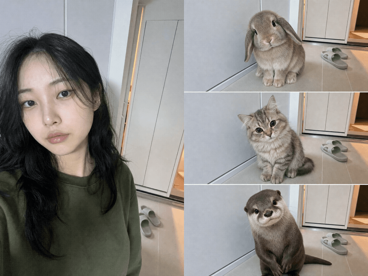 닮은 동물 후보 3종 입력 사진과 결과 예시