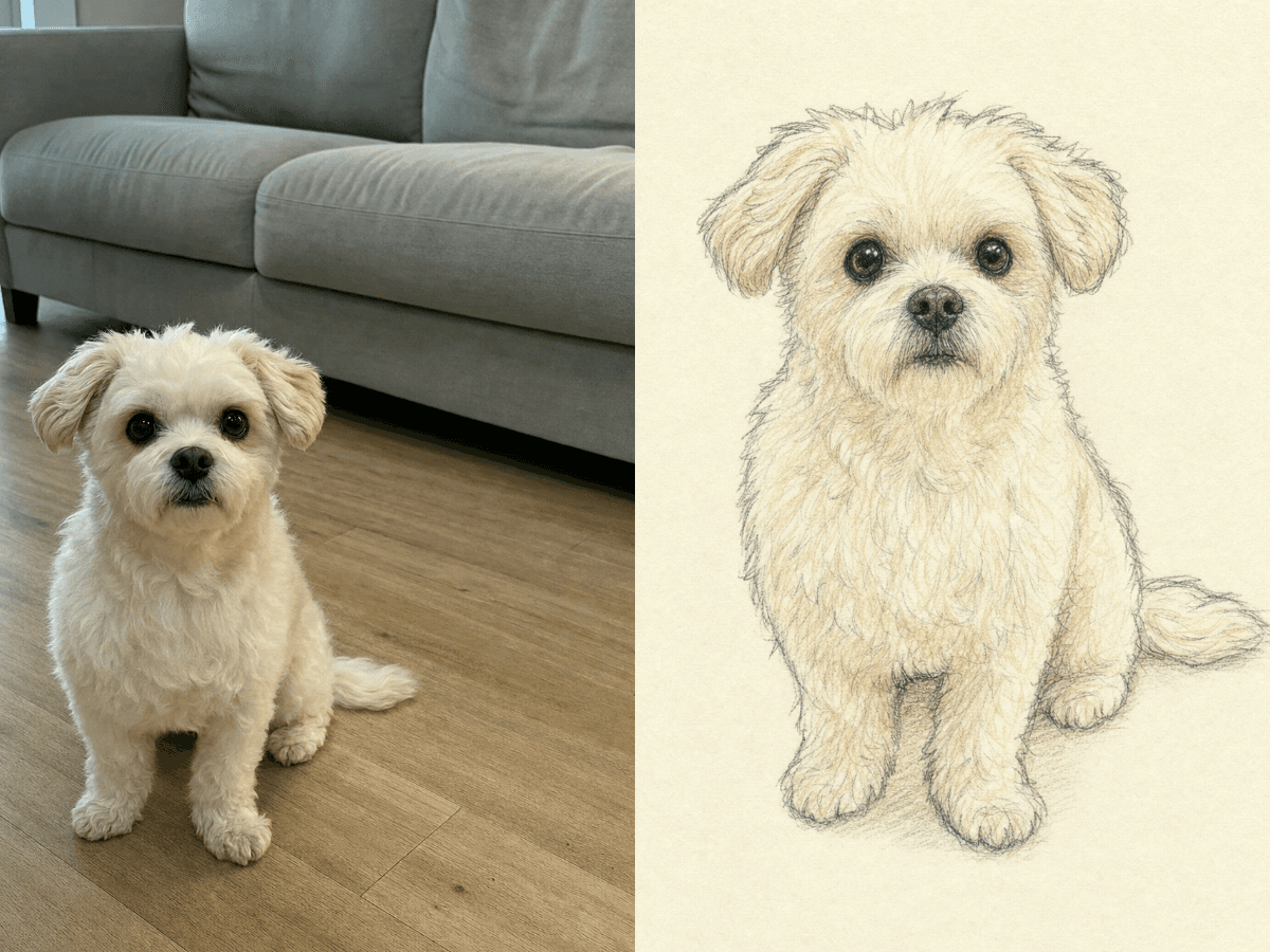 강아지 낙서 그림 입력 사진과 결과 예시