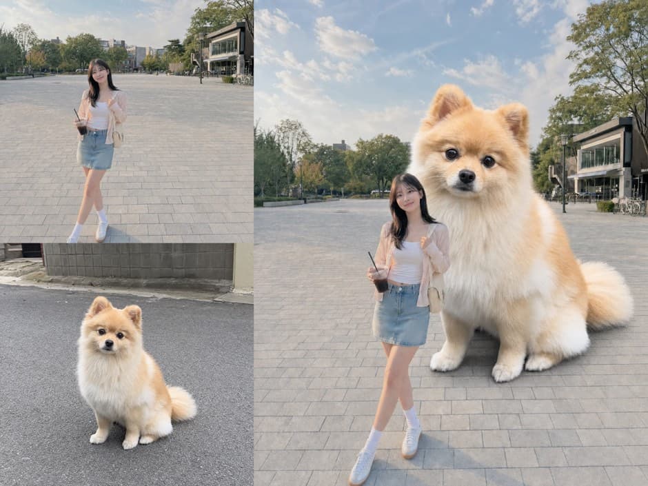 왕큰 멈뭄미 입력 사진과 결과 예시