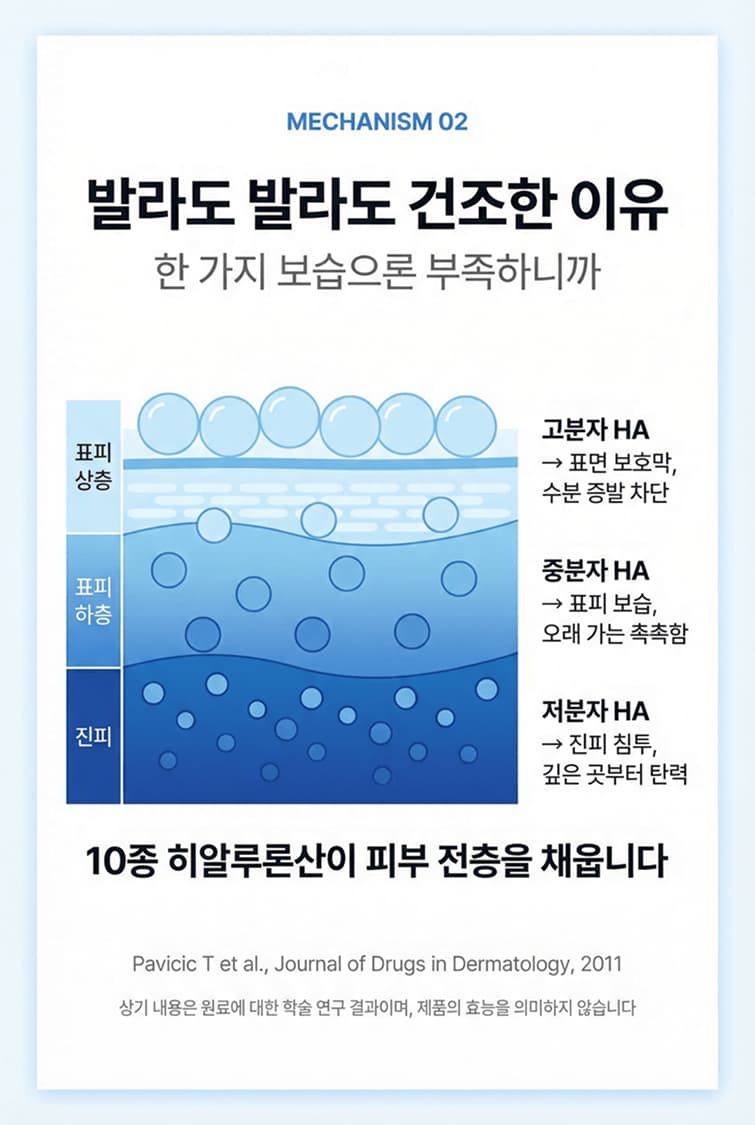 성분 설명 상세페이지 인포그래픽
